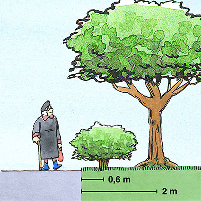 Illustration, mått för att placera träd och buskar vid tomtgräns